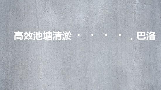 高效池塘清淤，巴洛仕設(shè)備助您一臂之力